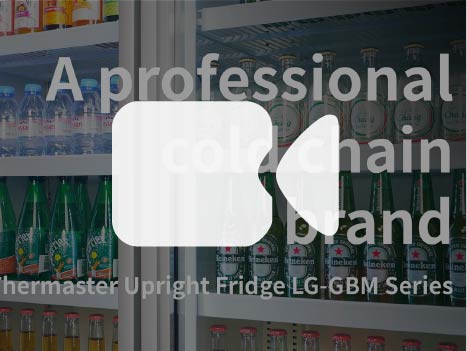 Thermaster Double Door Supermarket Fridge - LG-1000BGBM