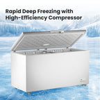 Thermaster 520L Chest Freezer with Stainless Steel Lid - BD520F