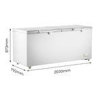 Thermaster 750L Chest Freezer with Stainless Steel Lid - BD750F