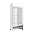Thermaster Double Glass Door Colourbond Upright Drink Fridge - LG-580P
